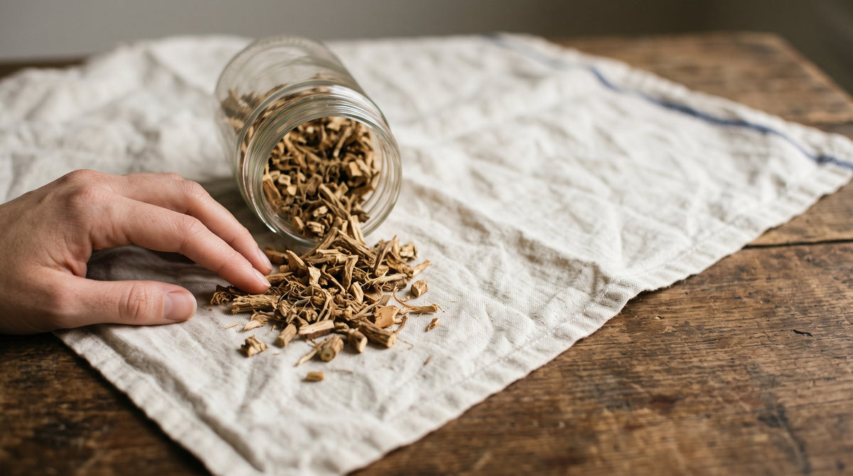Cut dried valerian root spilling from a glass jar onto cream linen, a hand resting beside it